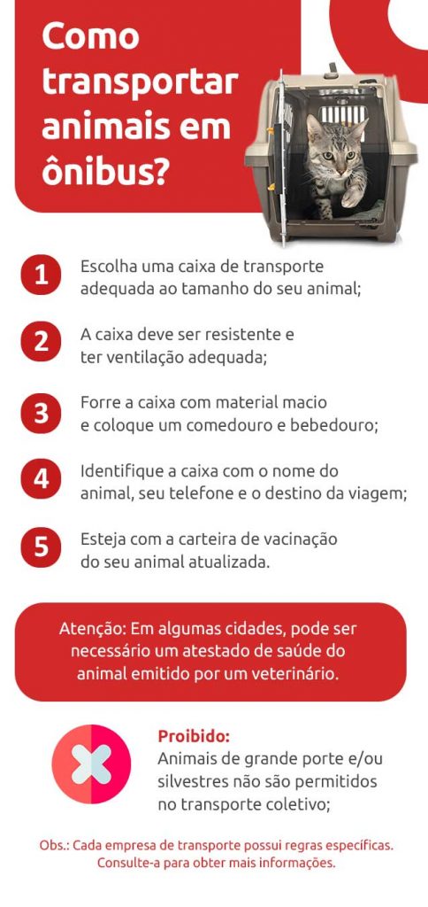 infográfico com dicas para lever animais no transporte | DOK